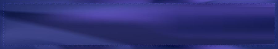 spot_img